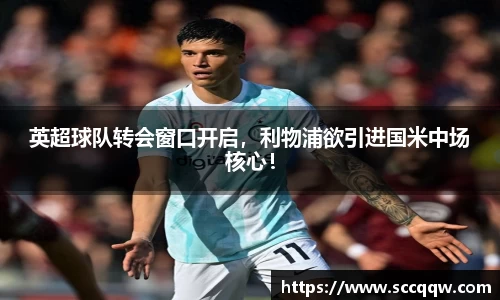 韦德bevictor