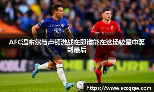 韦德bevictor