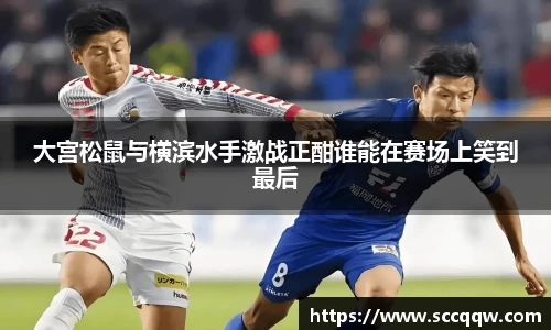 韦德bevictor