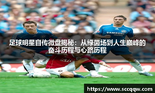 韦德bevictor